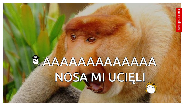 AAAAAAAAAAAAA nosa mi ucięli