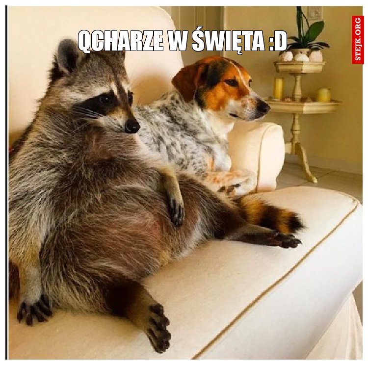 Qcharze w święta :D