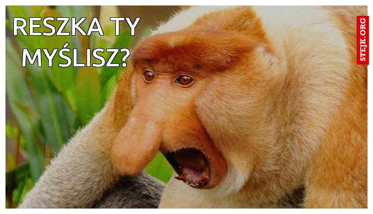 Reszka Ty myślisz?