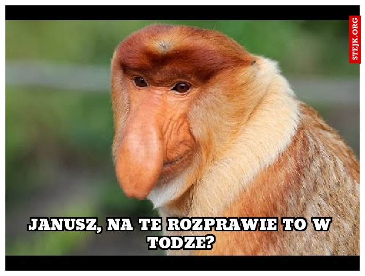 Janusz, na te rozprawie to w todze?