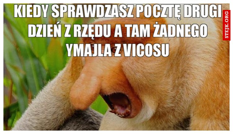 Kiedy sprawdzasz pocztę drugi dzień z rzędu a tam żadnego ymajla z vicosu