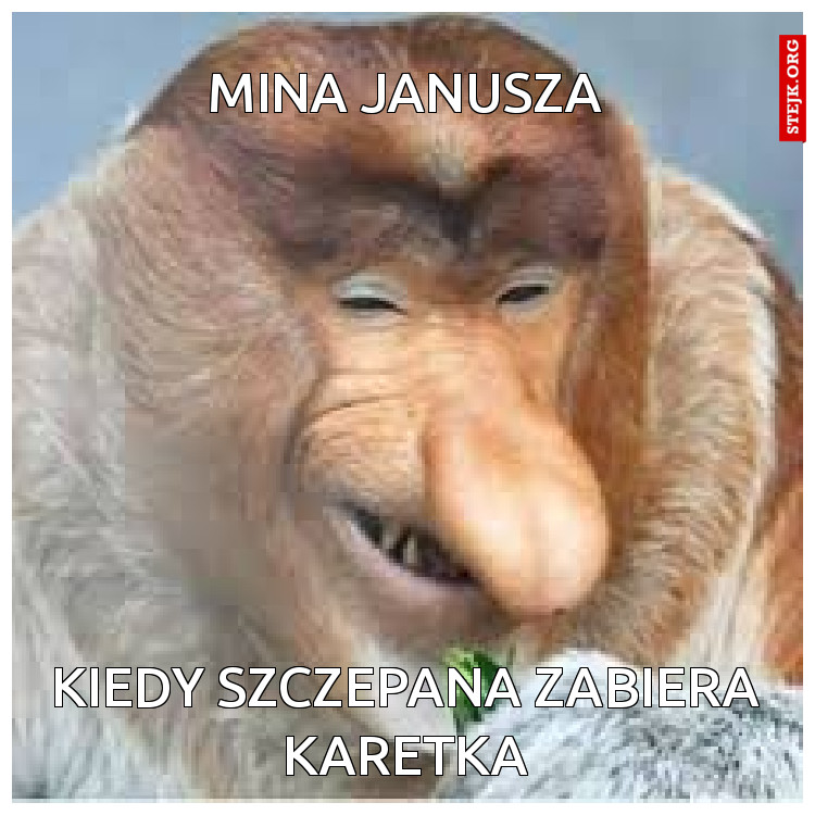 Mina janusza