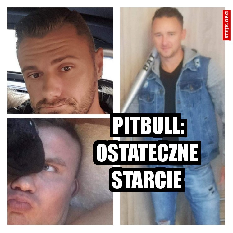         PITBULL:        OSTATECZNE STARCIE
