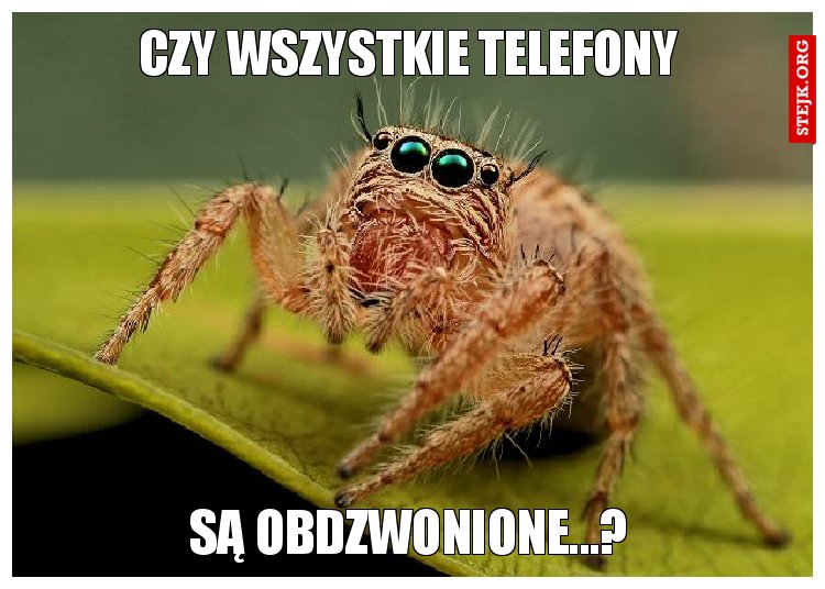 Czy wszystkie telefony