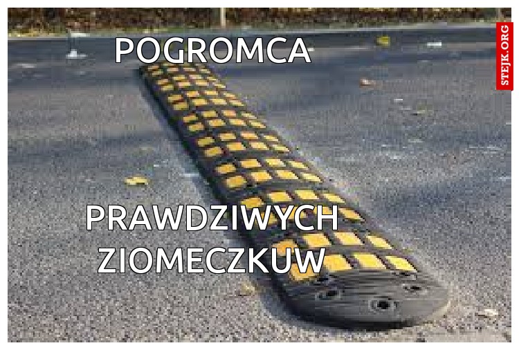 POGROMCA
