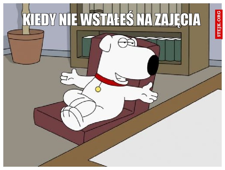 mem_st.jpg