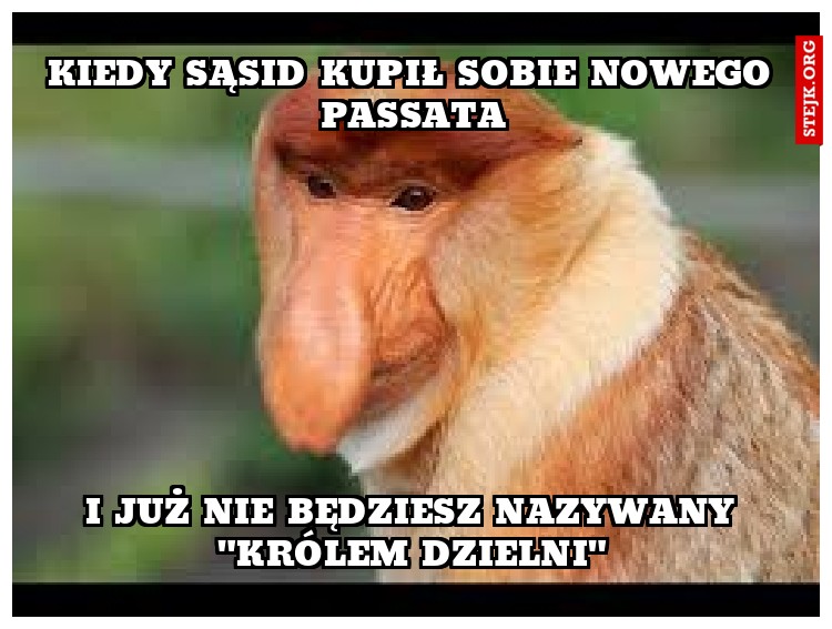 Kiedy sąsid kupił sobie nowego passata