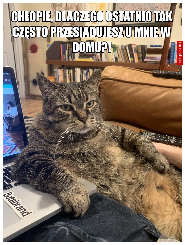 Chłopie, dlaczego ostatnio tak często przesiadujesz u mnie w domu?!