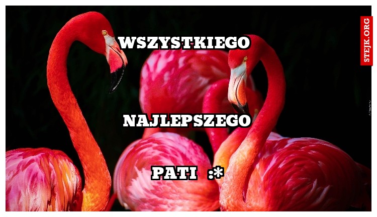Wszystkiego 