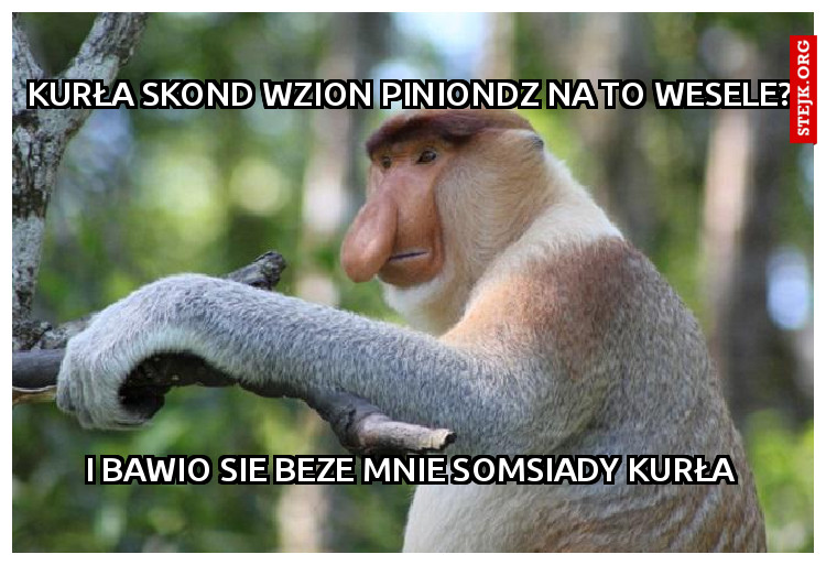 kurła skond wzion piniondz na to wesele?