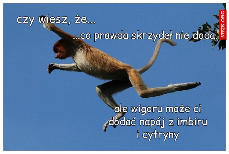 czy wiesz, że...