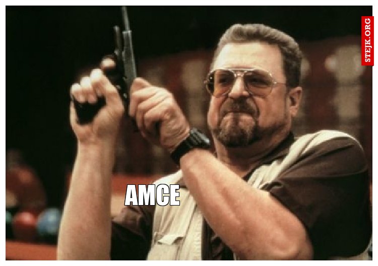 AMCE