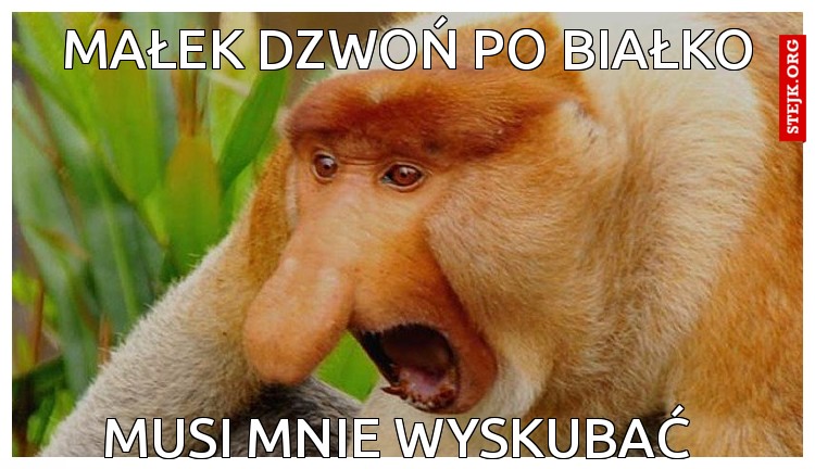 Małek dzwoń po Białko