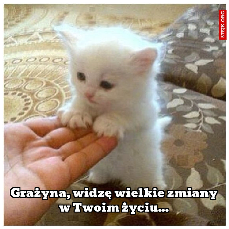 Cyganka prawdę Ci powie