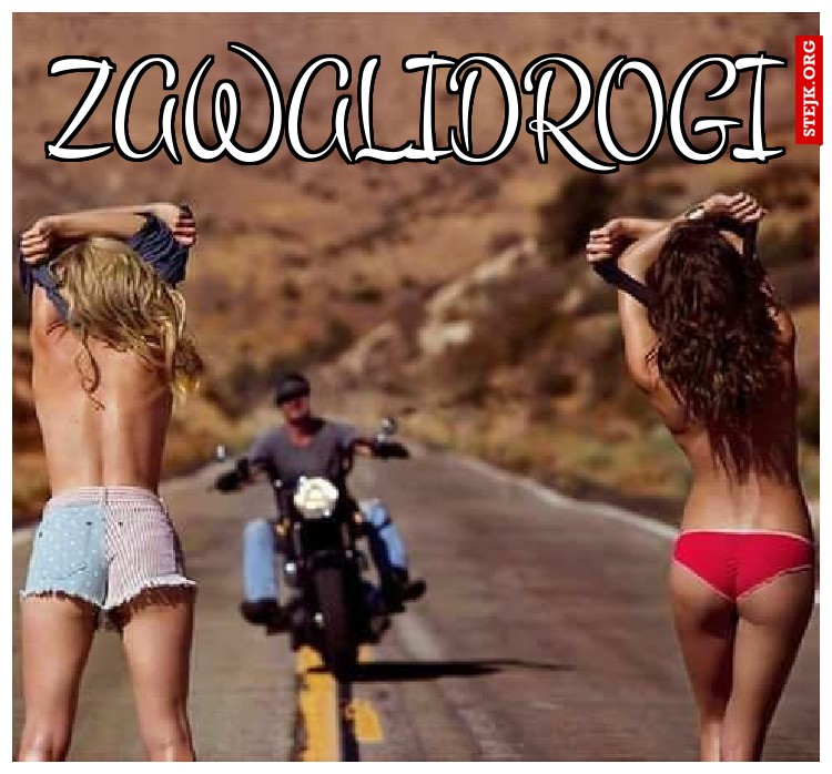 Zawalidrogi
