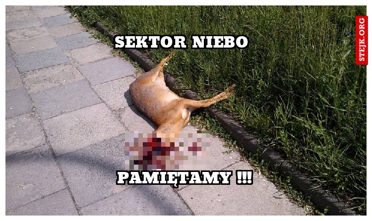 Sektor niebo 