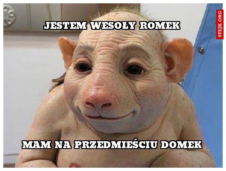 Jestem wesoły romek