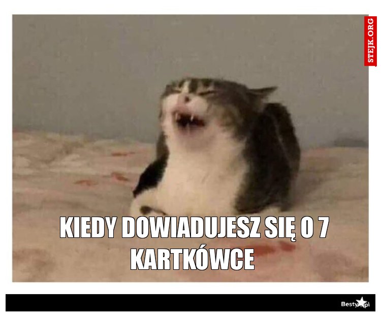  Kiedy dowiadujesz się o 7 kartkówce