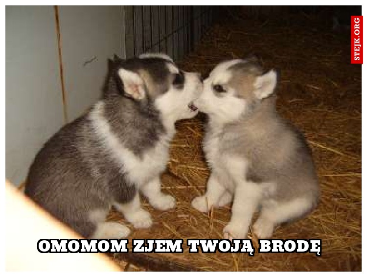 OMOMOM zjem Twoją brodę 