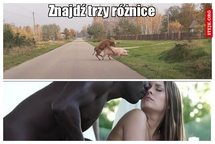 Znajdź trzy różnice
