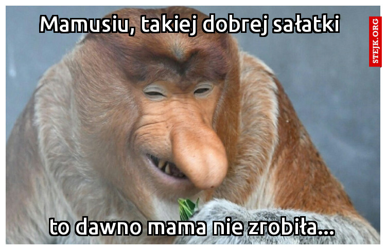 Mamusiu, takiej dobrej sałatki