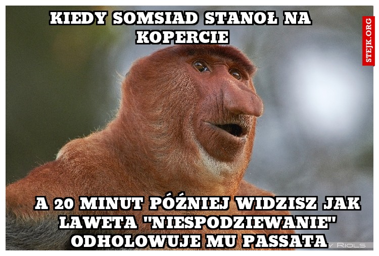 kiedy somsiad stanoł na kopercie