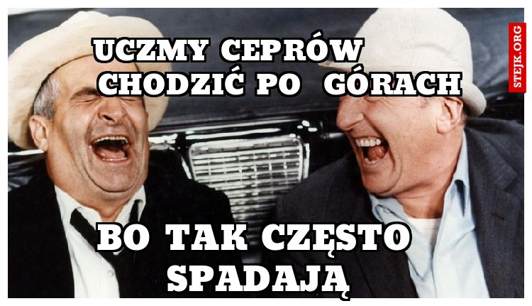 uczmy ceprów          chodzic po  górach