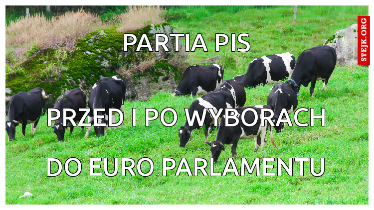 Partia PIS