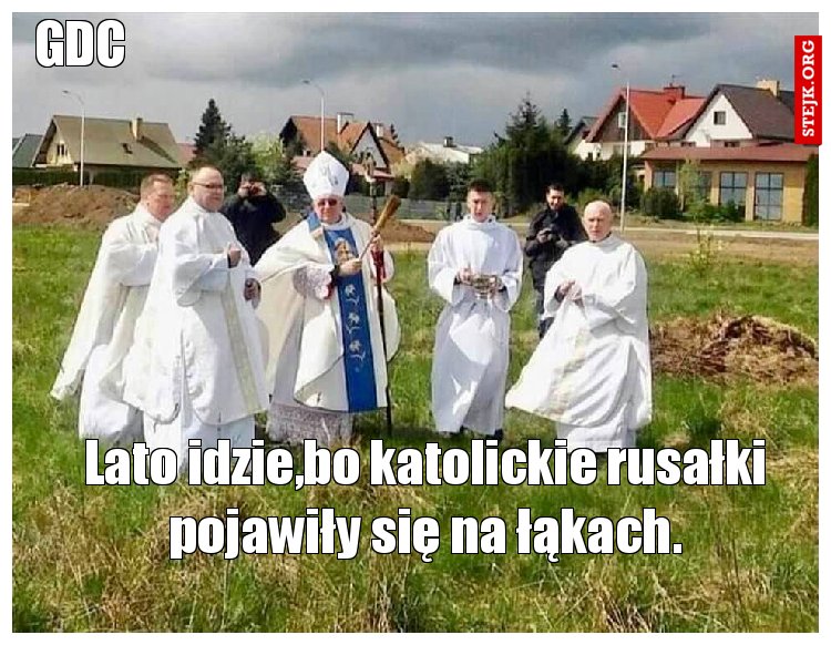 Lato idzie,bo katolickie rusałki pojawiły się na łąkach.