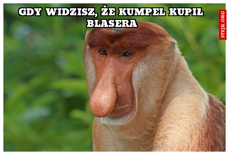 Gdy widzisz, że kumpel Kupił Blasera