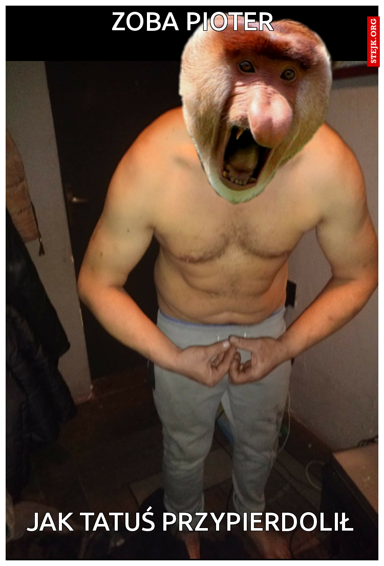 zoba pioter