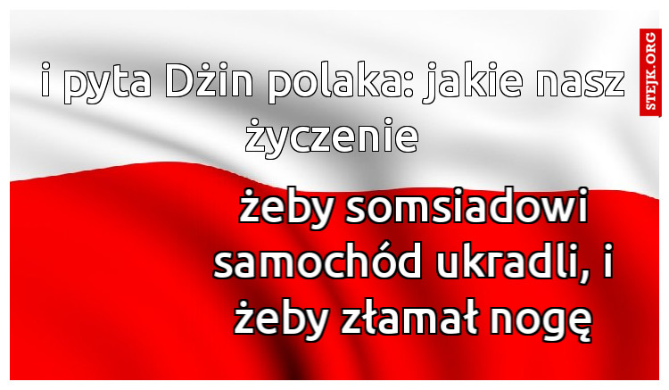 i pyta Dżin polaka: jakie nasz życzenie