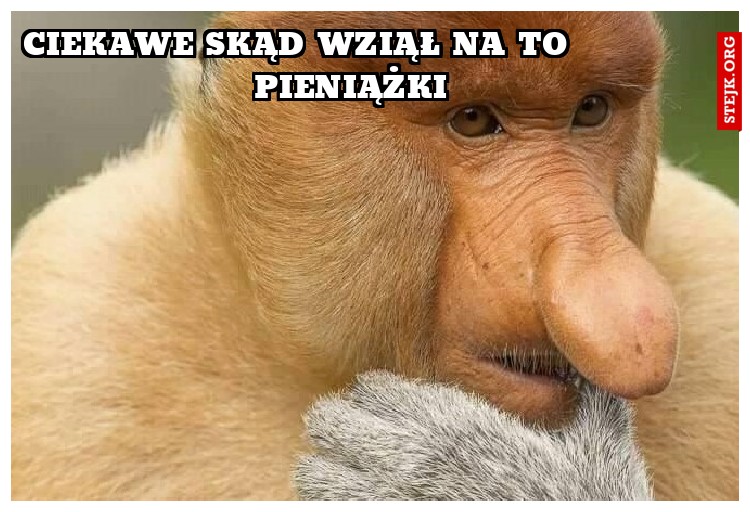 ciekawe skąd wziął na to