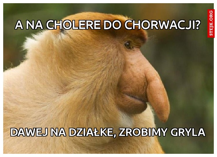 a na cholere do chorwacji?