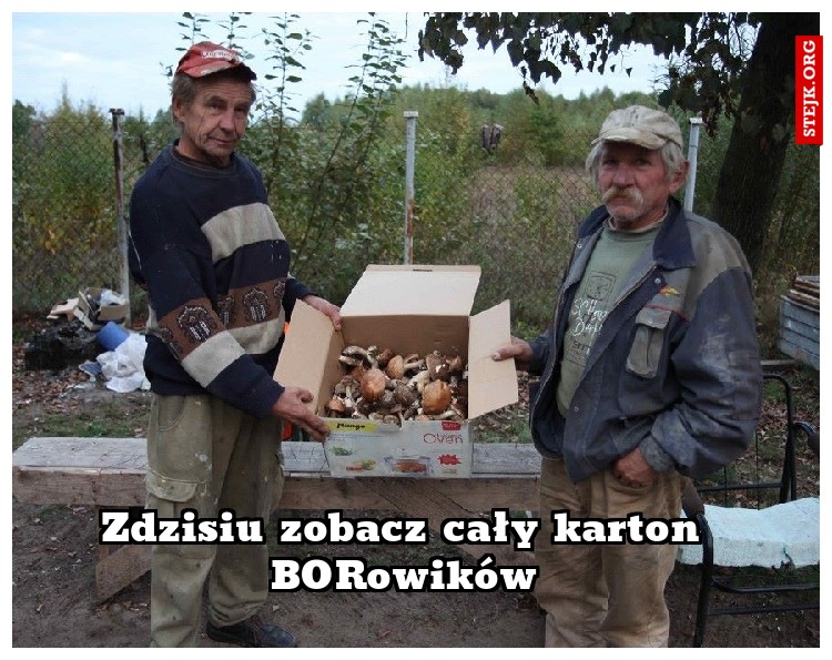 Dobrze, że Szyszko grzybów     nie wyciął. 