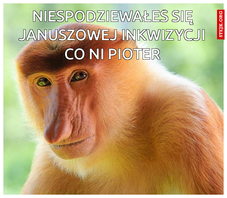 niespodziewałeś się januszowej inkwizycji co ni pioter