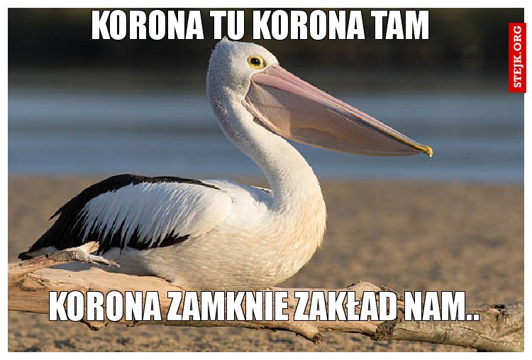Korona Tu Korona Tam 
