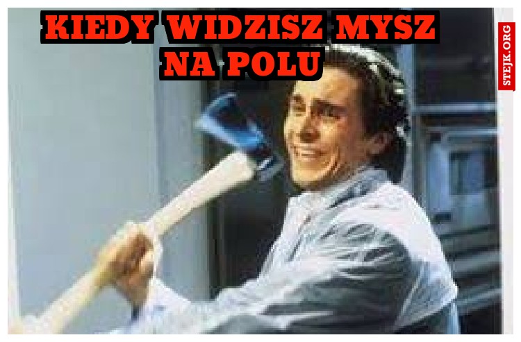 KIEDY WIDZISZ MYSZ NA POLU