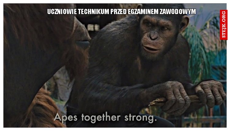 UCZNIOWIE TECHNIKUM PRZED EGZAMINEM ZAWODOWYM