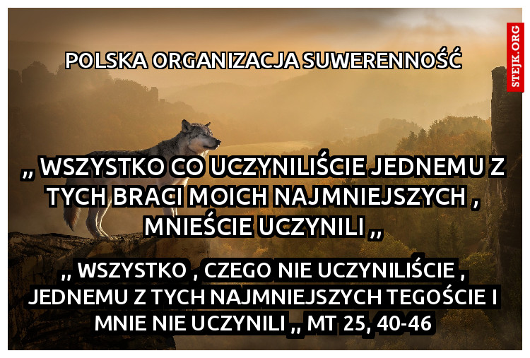 polska organizacja suwerenność