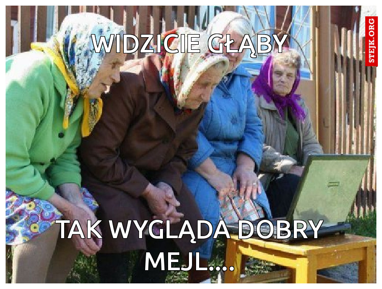 Widzicie głąby