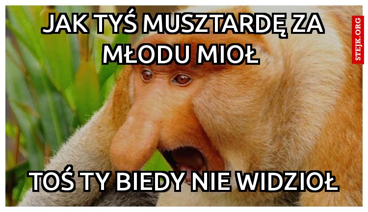 Jak tyś musztardę za młodu mioł 