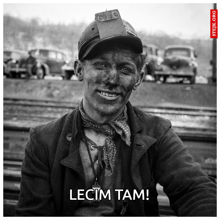 LECIM TAM!