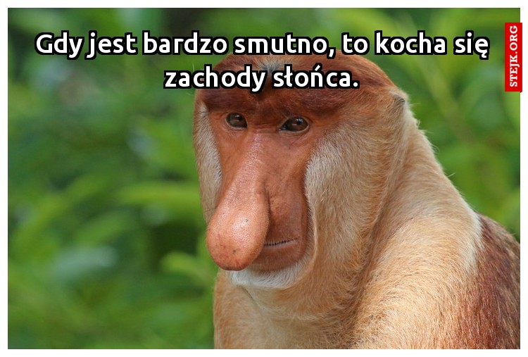 Gdy jest bardzo smutno, to kocha się zachody słońca.