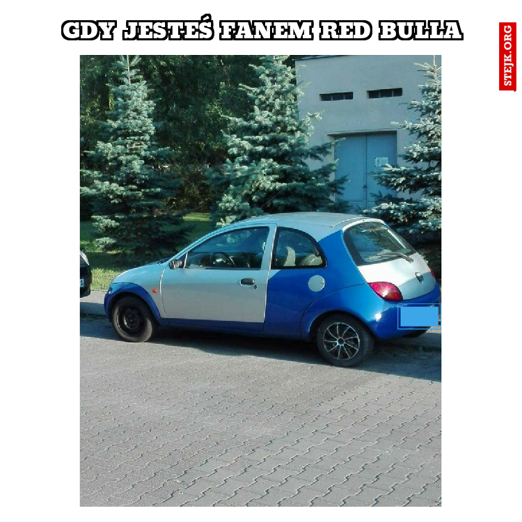 Gdy jesteś fanem red bulla