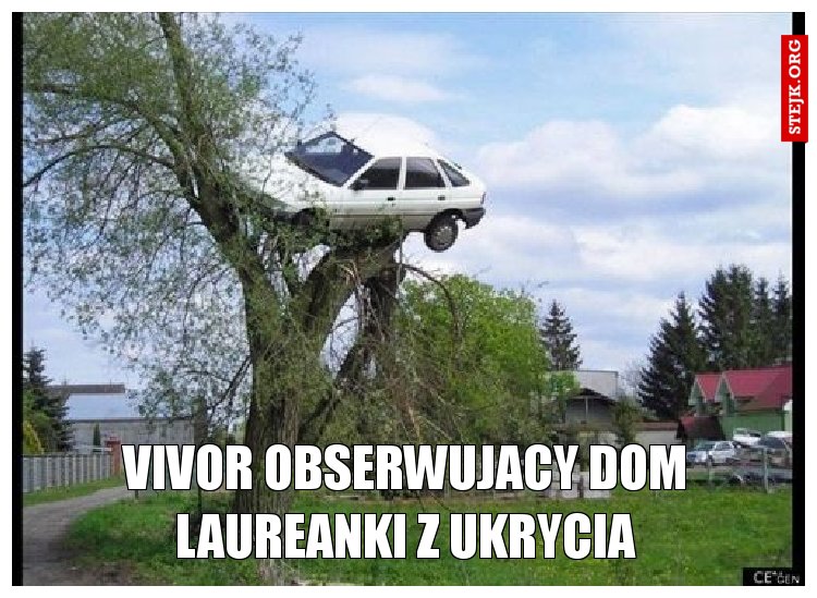 VIVOR OBSERWUJACY DOM LAUREANKI Z UKRYCIA