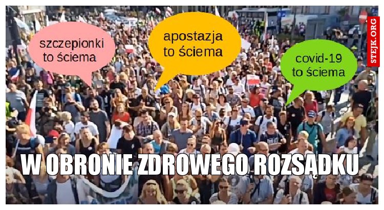 w obronie zdrowego rozsądku