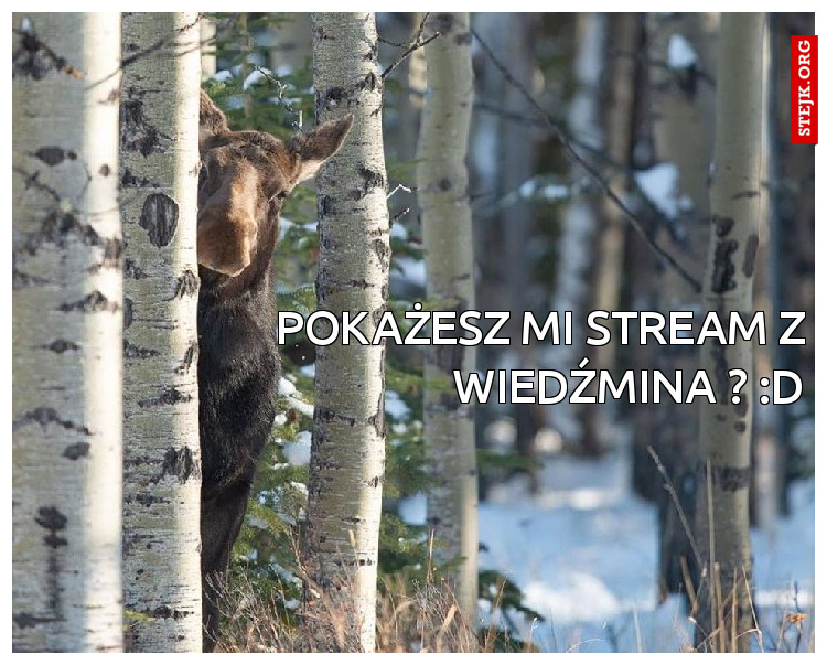 Pokażesz mi stream z Wiedźmina ? :D