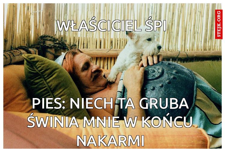 Właściciel śpi