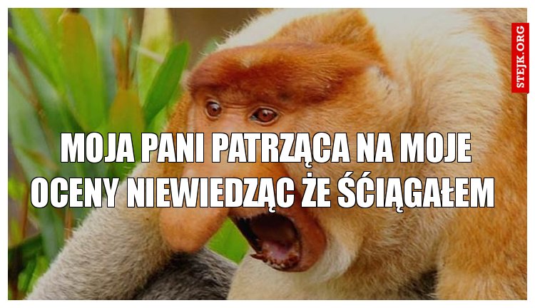 moja pani patrząca na moje oceny niewiedząc że śćiągałem 